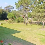 Casas Da Barra * Praia de Mira