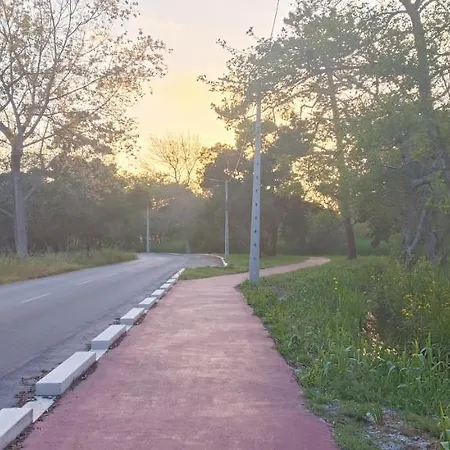 Casas Da Barra Alloggio per agriturismo