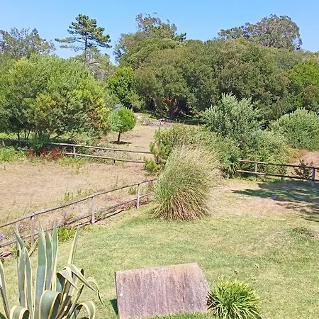 Casas Da Barra Praia de Mira