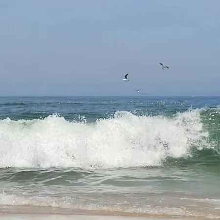مزرعة للإقامة Casas Da Barra