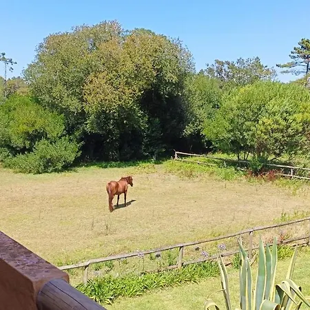 Casas Da Barra Praia de Mira