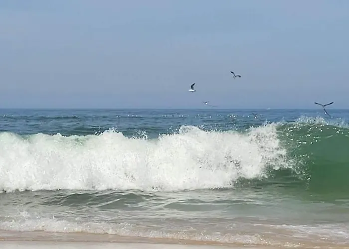 ファームステイ Casas Da Barra