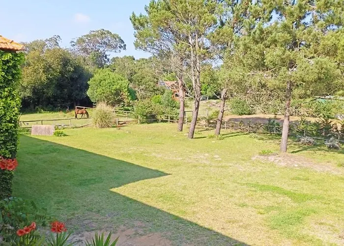 Casas Da Barra * プライア・デ・ミラ